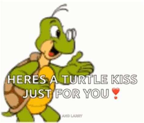 I Like Turtles Finding Nemo GIF | GIFDB.com