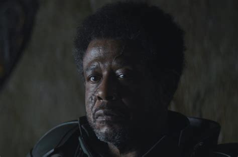 Saw Gerrera Returning for 'Andor' Season 2, Forest Whitaker Confirms - Star Wars News Net