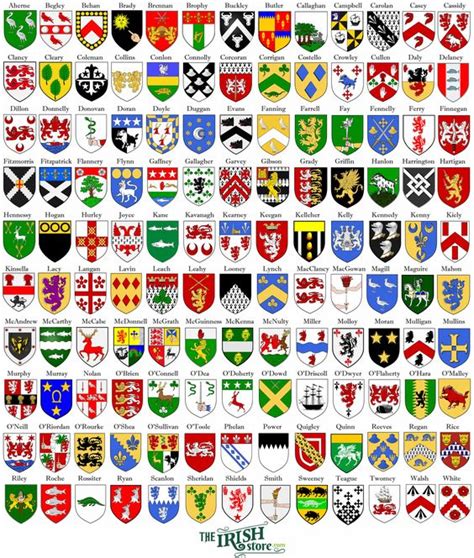 Find Your Irish Coat of Arms | Old and other | Irish coat of arms ...