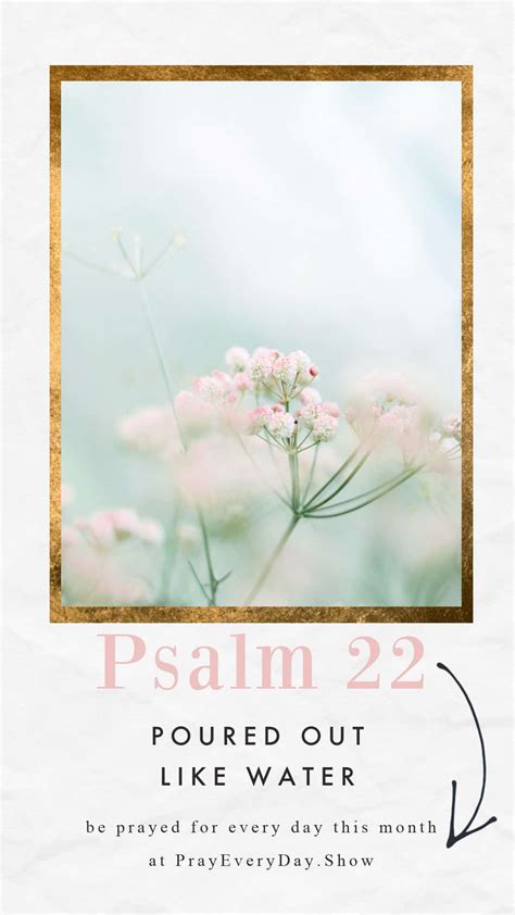 Psalm 22 - Mary DeMuth