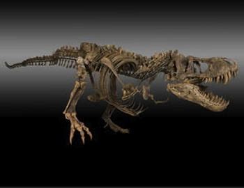 T-Rex Triceratops and Montana Dueling Dinosaurs for Bonhams auction : Auction Publicity