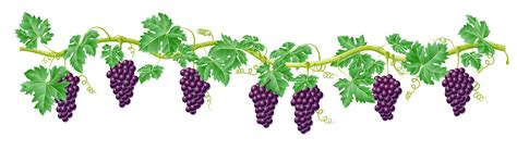 Free Vine Cliparts Transparent, Download Free Vine Cliparts Transparent ...