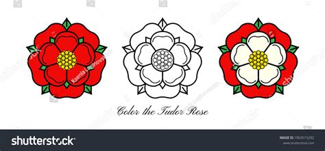 258 Lancashire Rose Images, Stock Photos, 3D objects, & Vectors ...