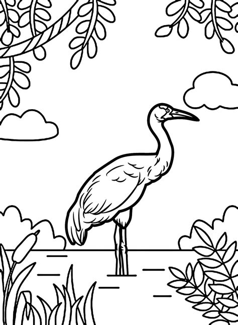 Whooping Crane Bird Coloring Page - Free Printable Coloring Pages