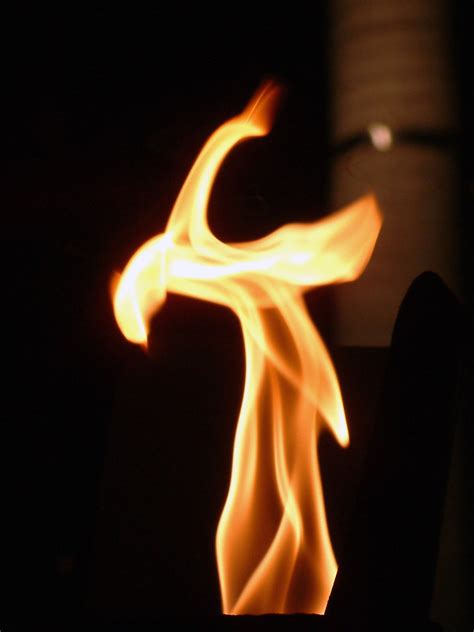 File:Australia Cairns Flame.jpg - Wikipedia