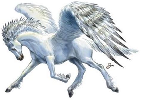 Pegasus | Forgotten Realms Wiki | Fandom