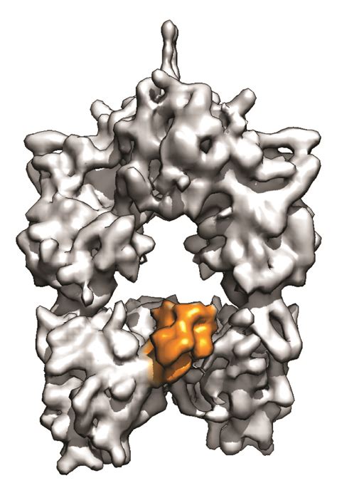 Polyketide Synthases | Alpay B. Seven