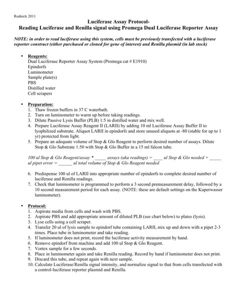 Luciferase Assay Protocol