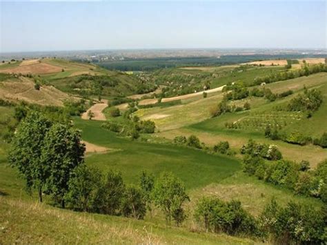 Fruska Gora National Park