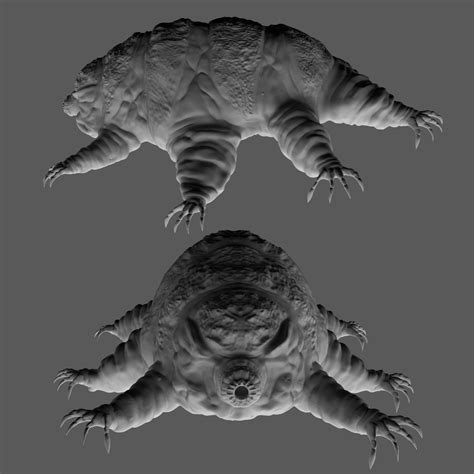 ArtStation - Creature Design