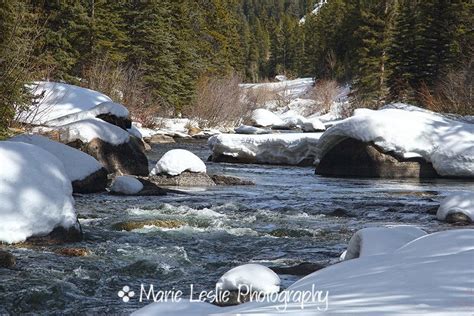 Winter Adventure in Gunnison, Colorado