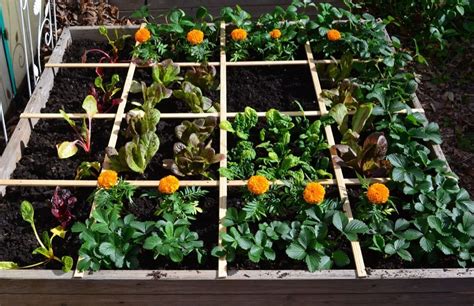 Square foot gardening is a space-efficient way to grow vegetables ...