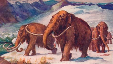 Mammoth-elephant hybrid two years away - scientists | Newshub