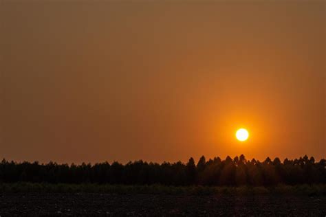 Sunset and silhouette of trees 1863794 Stock Photo at Vecteezy