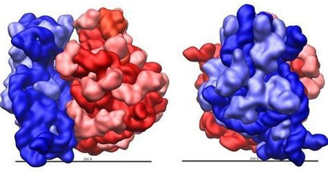 Ribosome FAQ: What Are Ribosomes Made Of?What Are Ribosomes Made Of? And Other Ribosome Questions