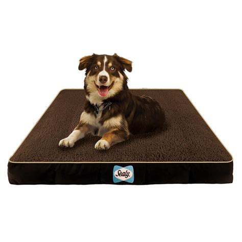 Sealy Cozy Comfy Sherpa Dog Bed by Sealy | Wayfair