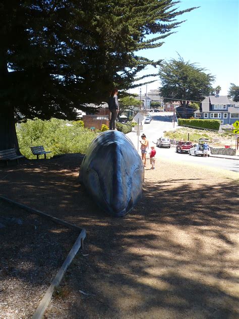 Female California gray whale sculpture | c_nilsen | Flickr