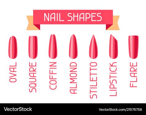 Acrylic nail shapes set Royalty Free Vector Image