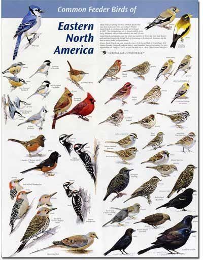 Wild Birds Unlimited - Nature Shop