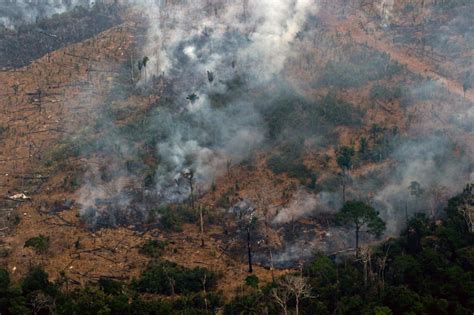 Amazon Rainforest Fires: Everything You Need to Know & How to Help ...