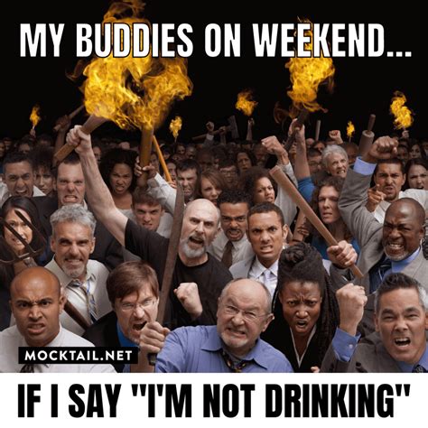 Funny Alcohol Memes To Brighten Your Day | Mocktail.net