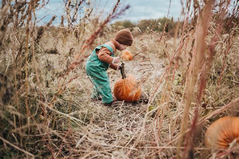 Setting Up a Pumpkin Patch Fall Mini Session: A Guide for Photographers ...