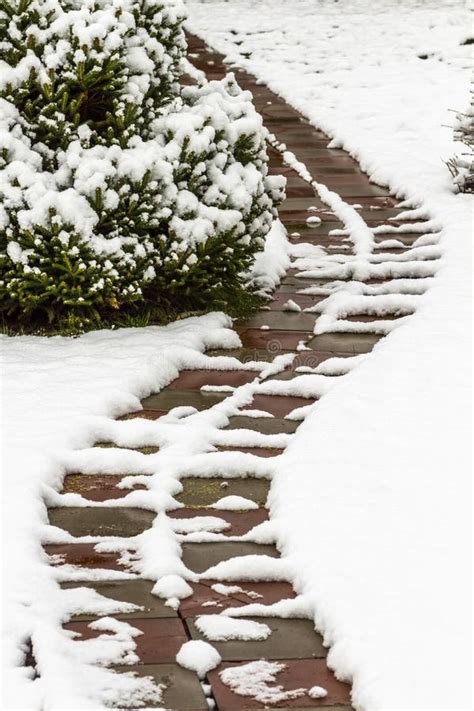 Path in the snow stock photo. Image of seasonal, frosty - 145170688