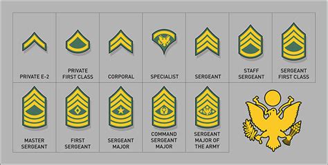 Army Enlisted Rank Insignia Stock Vector - Illustration Of Command 668
