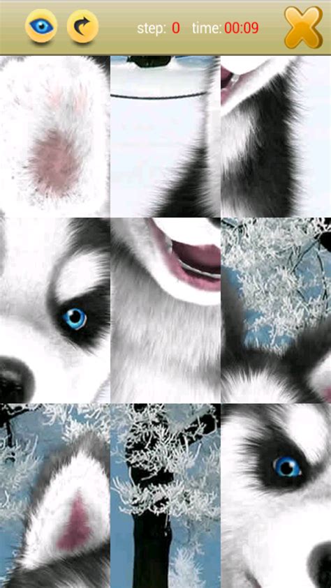 Talking Husky - Android Apps on Google Play