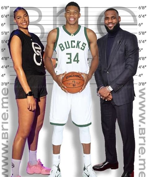 Giannis Antetokounmpo Height - Brie