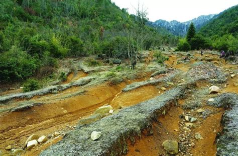 A village safeguarding a natural botanical garden: Xinzhu Botanical ...