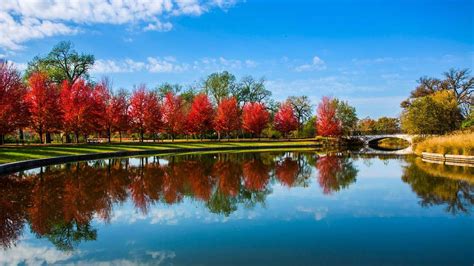 7 Fall Activities in St Louis, Missouri That You Must Do