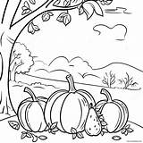 Colorful Autumn Harvest Scene Coloring Page 4731 3769 sketch template