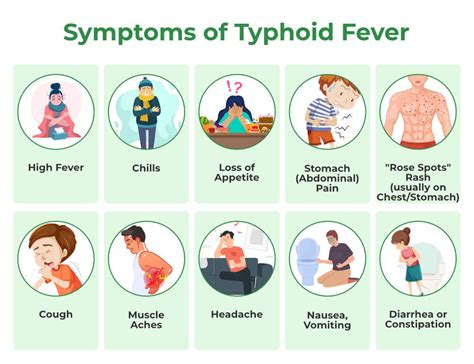 Typhoid Fever - Symptoms, Causes, Prevention and Treatment