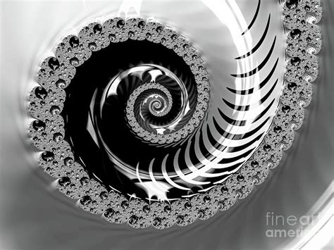 Stunning Black Spiral Digital Art by Elisabeth Lucas - Fine Art America