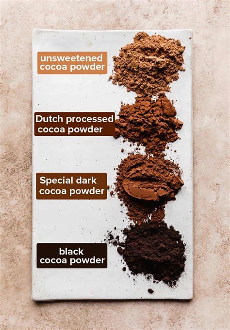 Best Cocoa Powder for Baking — Salt & Baker