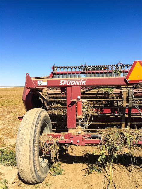 Scenes from the 2015 Idaho Potato Harvest - Foxes Love Lemons