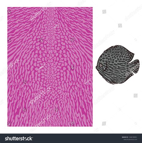 Vector Fish Skin Texture Print Underwater Stock Vector (Royalty Free ...