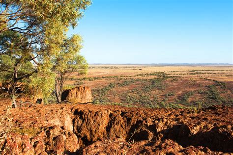 Guide to Winton, QLD | Wiki Australia