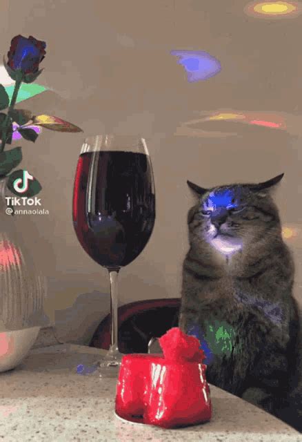 Sad Cat Sad Cat Drinking Wine Disco GIF - Sad Cat Sad Cat Drinking Wine Disco - Discover & Share ...