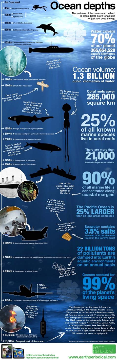 Top 10 Interesting Infographics About Our Oceans | Page 4 of 10 ...