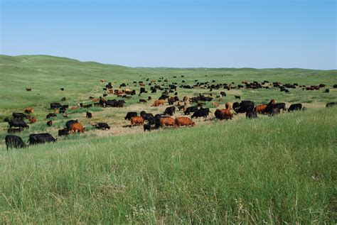 Nebraska Sandhills | U.S. Farms & Ranches | Pinterest | Scenery