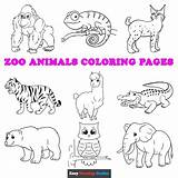 Free Printable Animal Coloring Pages Tiger sketch template