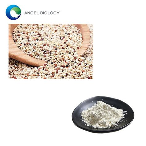 China Quinoa Protein Powder Manufacturers Suppliers Factory - Quinoa ...