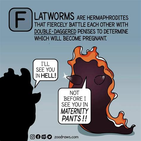 Zoodraws - There's a NEW take on Flatworm anatomy, and...