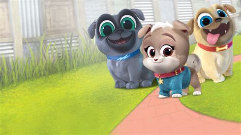 Playtime with Puppy Dog Pals Season 2: Where To Watch Every Episode ...