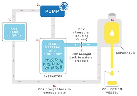 Crude Oil Extraction Process