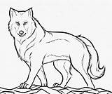 Wolf Coloring Pages  ColoringBay sketch template