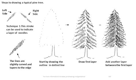 How To Draw A Simple Pine Tree