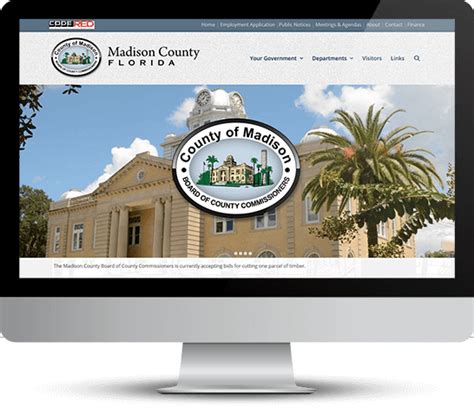 Terms and Conditions – Florida Clerk of Courts Website Services